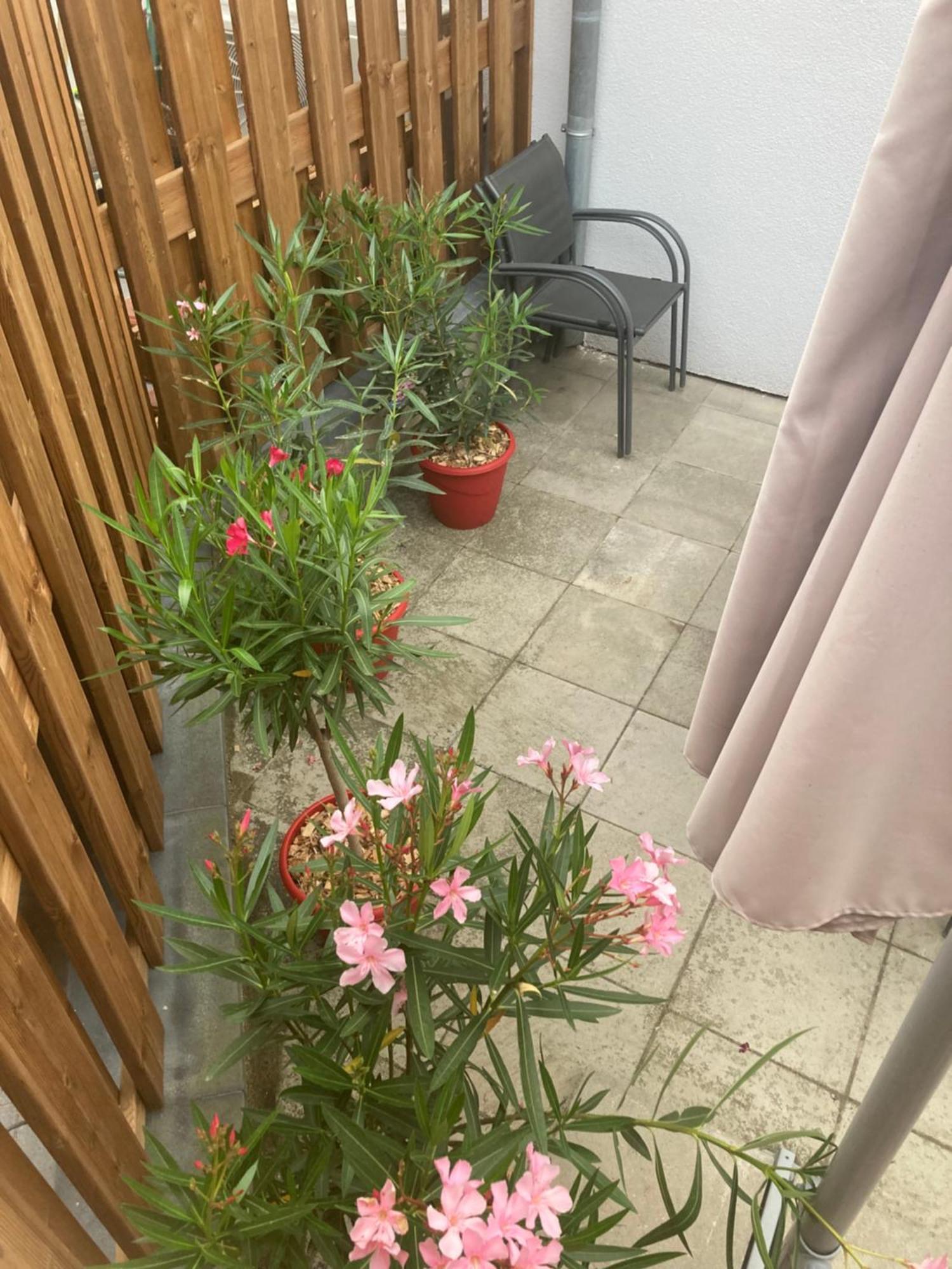 Hébergement de vacances Juste Un Rayon De Soleil Saasenheim